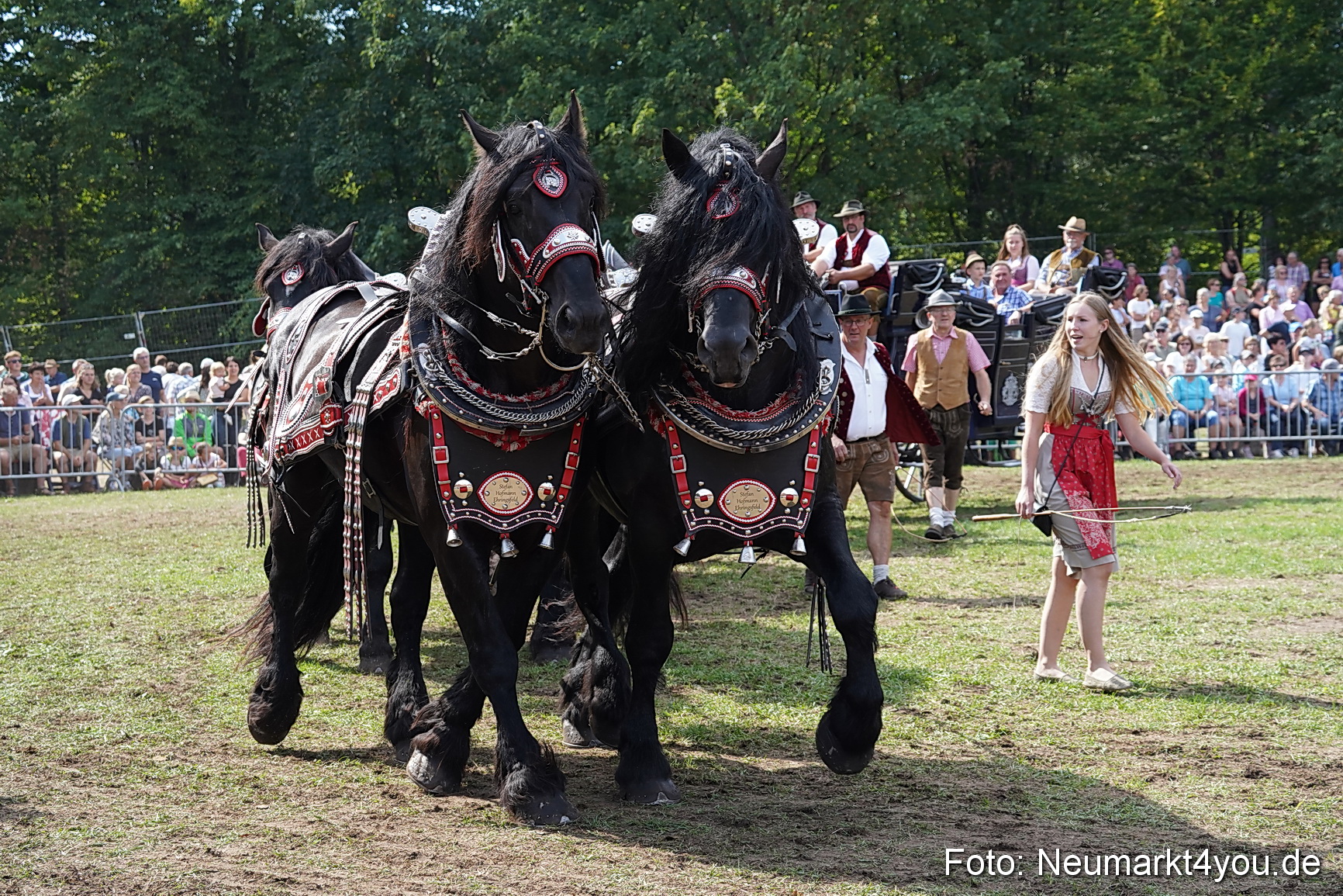 Pferde und Fohlenschau 2022 0304 